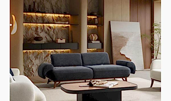 Kuğu Koltuk Takımı 